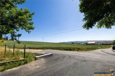 6 loturi casa Maierus,1.375mp,langa DN13, Doripesco,Brasov: 35min, zona verde:FILM! - foto 15