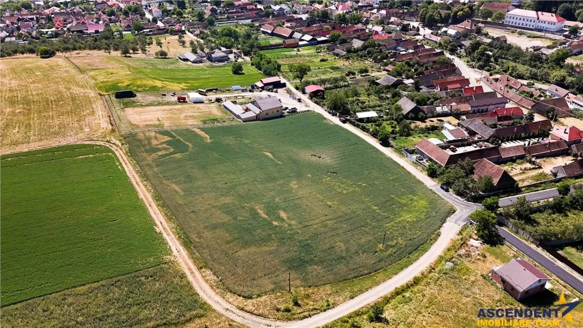6 loturi casa Maierus,1.375mp,langa DN13, Doripesco,Brasov: 35min, zona verde:FILM! - foto 10