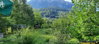 In cartea de povesti a Pietrei Craiului, ansamblu turistic in circuit,Plaiul Foii - foto 12