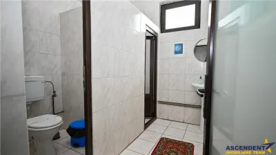 In cartea de povesti a Pietrei Craiului, ansamblu turistic in circuit,Plaiul Foii - foto 20