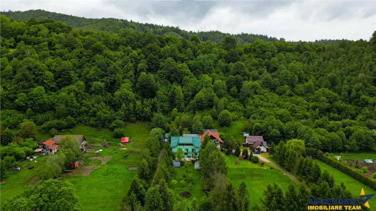 In cartea de povesti a Pietrei Craiului, ansamblu turistic in circuit,Plaiul Foii - foto 23