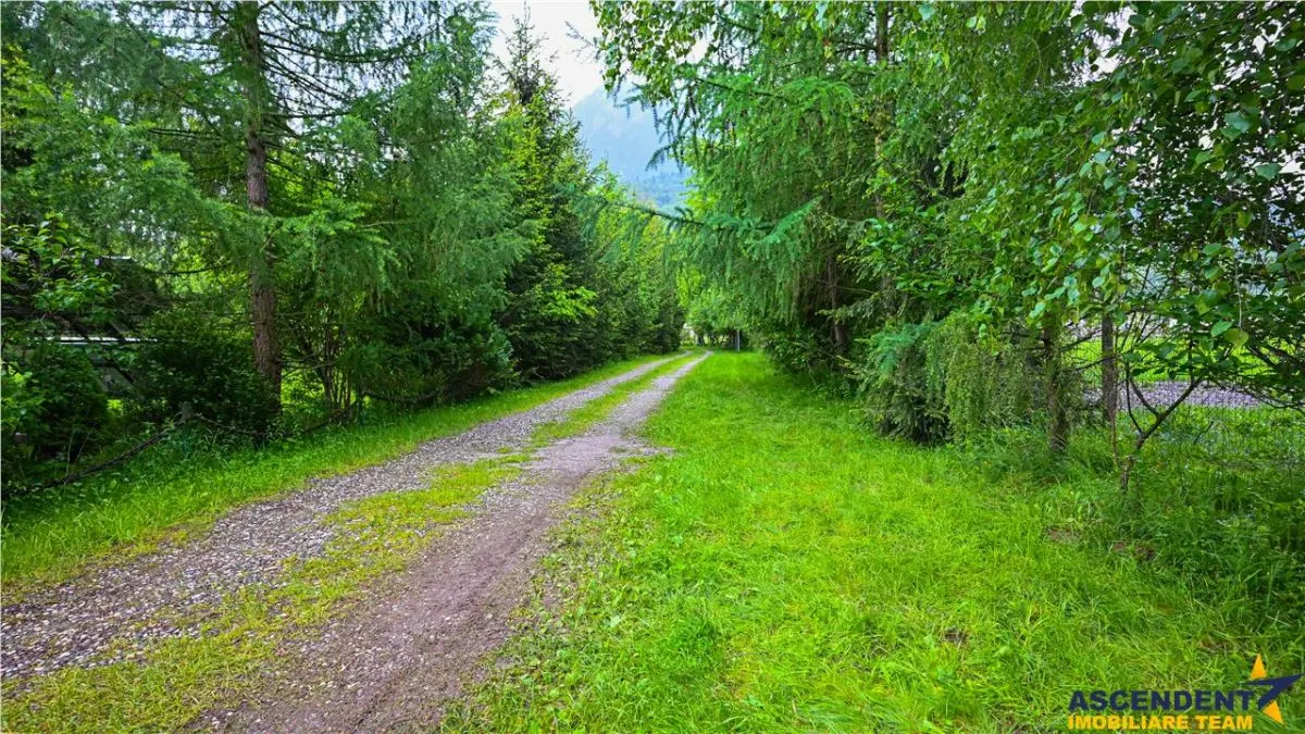 In cartea de povesti a Pietrei Craiului, ansamblu turistic in circuit,Plaiul Foii - foto 6