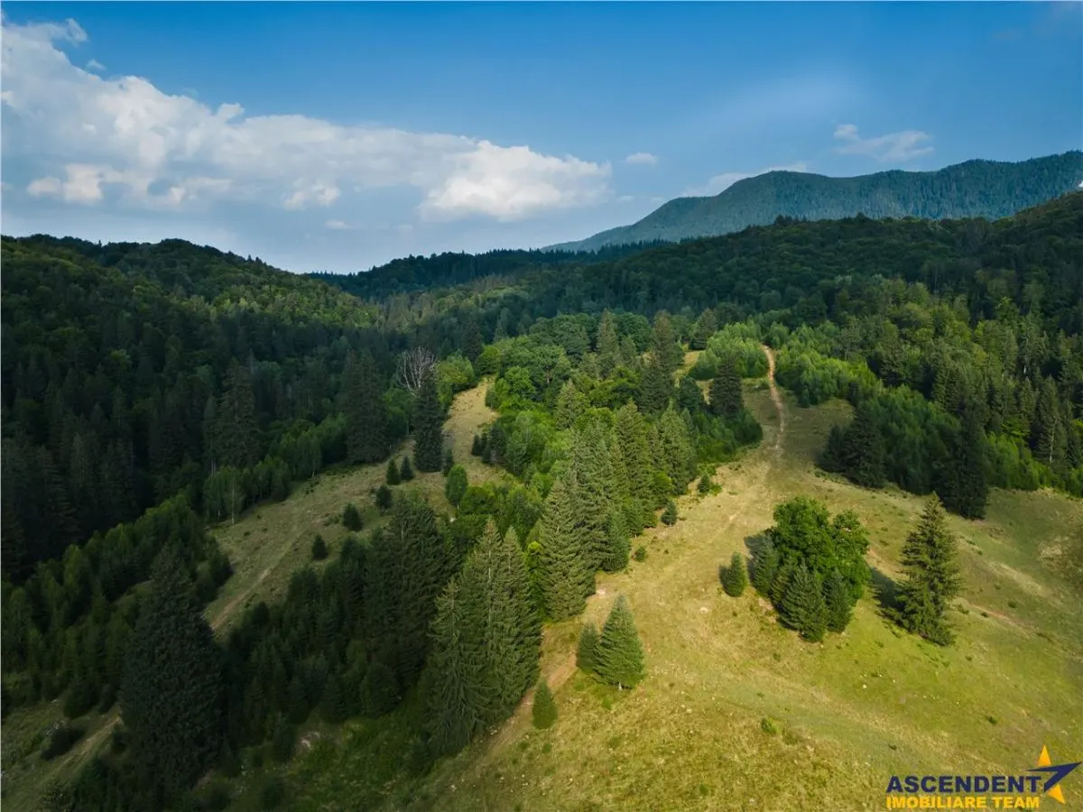 Film!!Punct de intalnire cu natura! Poiana Brasov - Rasnov,350.000mp,destinatie turistica si agrement - foto 6
