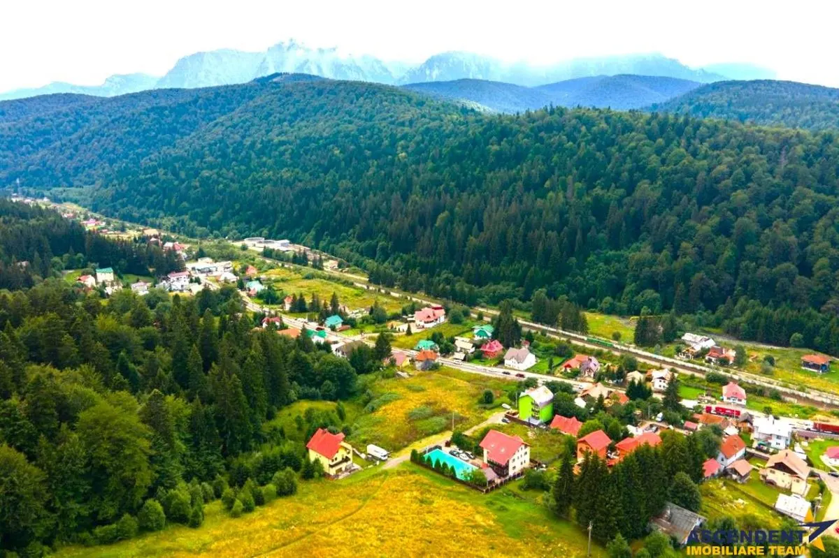 Arta si design in incantarea naturii, oportunitate rezidential/ turistic, Predeal, Brasov - foto 1