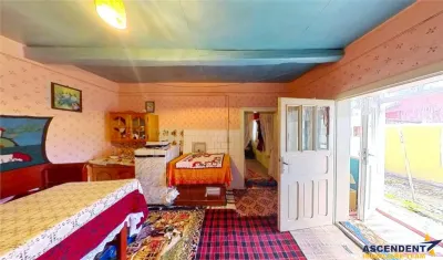 Tur 3D! Casa traditionala+ domeniu de 4.300 mp,livada,anexe:refugiu apreciabil Craiesti, la 28 km de Targu Mures. - foto 17