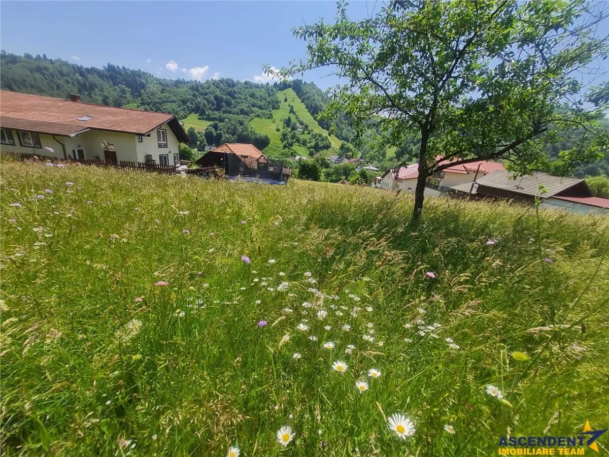 Teren 1.450 mp intravilan, la DN, cu priveliste de carte postala, Bran, Moieciu, Brasov - foto 21