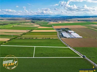 FILM! 30.200 mp teren intravilan,recomandat: investitie/exploatare agricola,Valea Crisului - foto 1