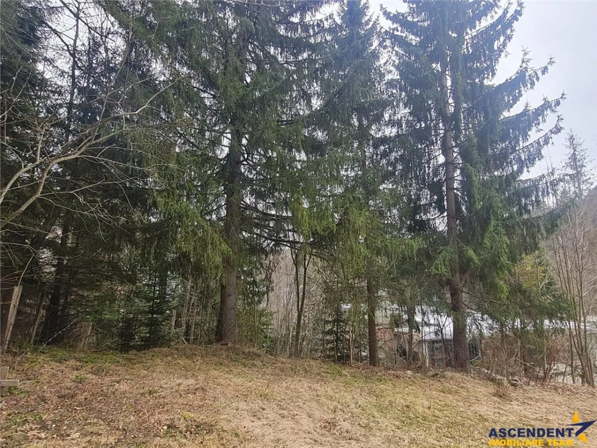 Vila versatila, dubla oportunitate: rezidential exclusivist si potential comercial - foto 5