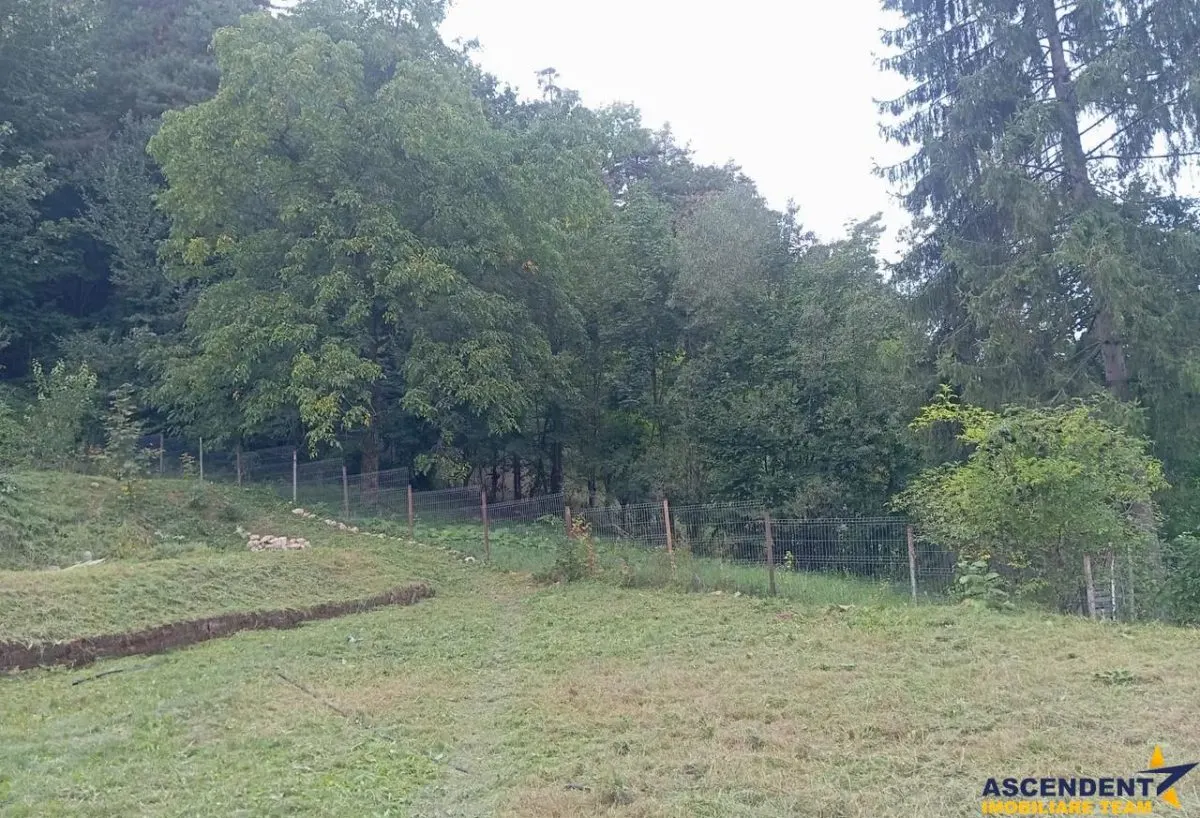 Casa rustica cu semineu,1.100mp teren, priveliste,padure:refugiu autentic in natura,Baciu Sacele,Brasov - foto 1