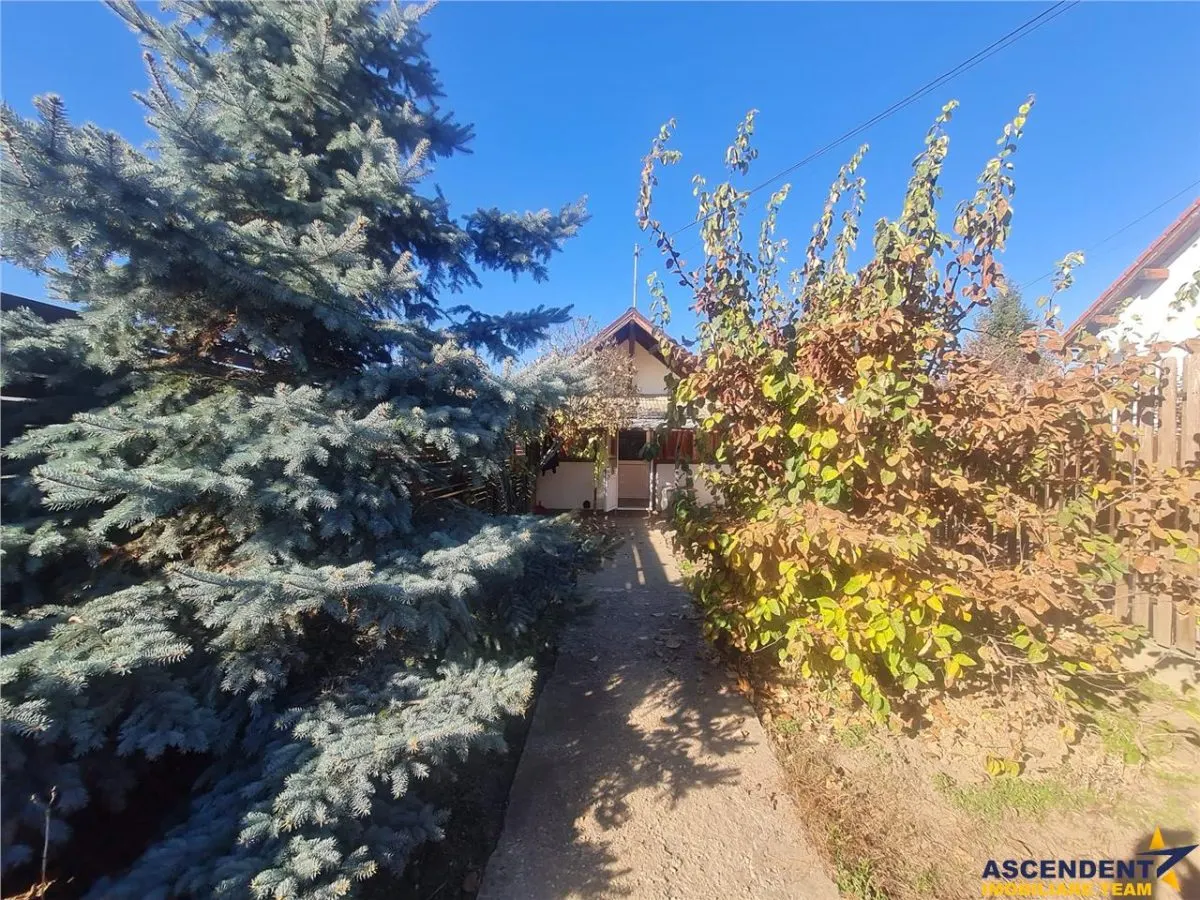Doua casute tip A Frame, totul pe un teren de 300 mp, Ghimbav, Brasov - foto 10