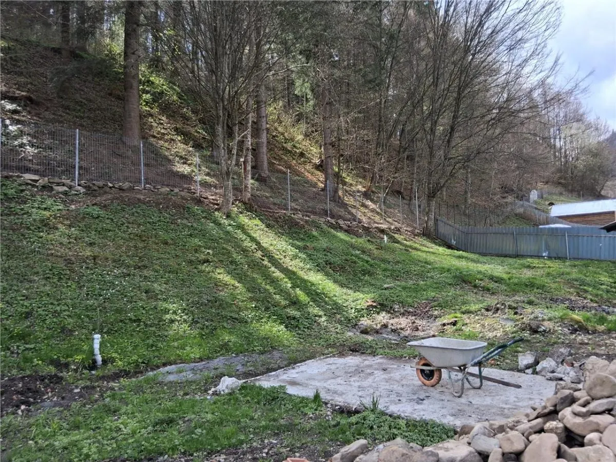 Casa din lemn si teren intravilan, Izvorul Muntelui, Neamt - foto 1