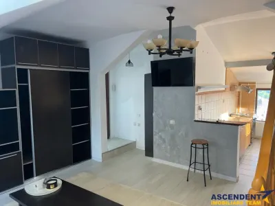 Studio, priveliste frumoasa, pet friendly, loc parcare, Schei,Brasov - foto 5
