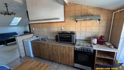 Studio, priveliste frumoasa, pet friendly, loc parcare, Schei,Brasov - foto 8