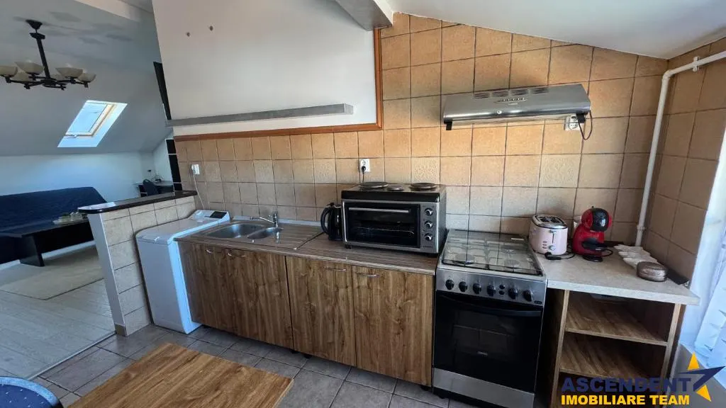 Studio, priveliste frumoasa, pet friendly, loc parcare, Schei,Brasov - foto 8