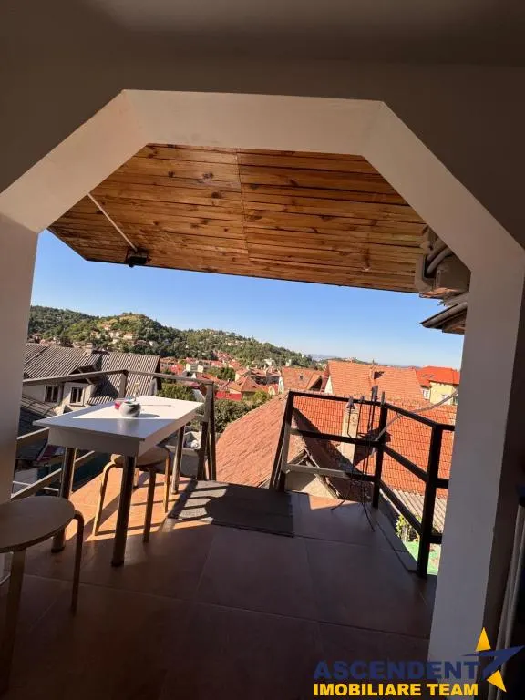 Studio, priveliste frumoasa, pet friendly, loc parcare, Schei,Brasov - foto 9