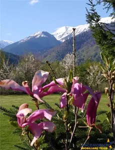 Intr o pozitionare cu apa curgatoare si incantare montana, Dejani, Fagaras - foto 3