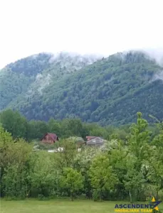 Intr o pozitionare cu apa curgatoare si incantare montana, Dejani, Fagaras - foto 4