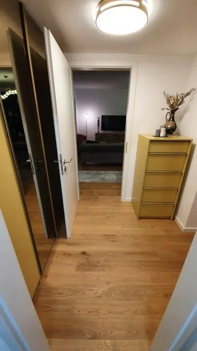 INCHIRIERE APARTAMENT 2 CAMERE AVIATIEI PARK HERASTRAU - foto 8
