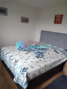 Apartament 2 camere in zona ultracentrala - foto 2