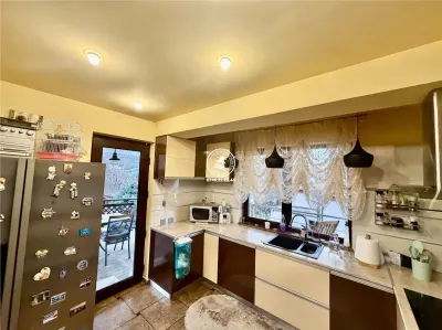 Casa vile de vânzare Buciuim-iasi - foto 17