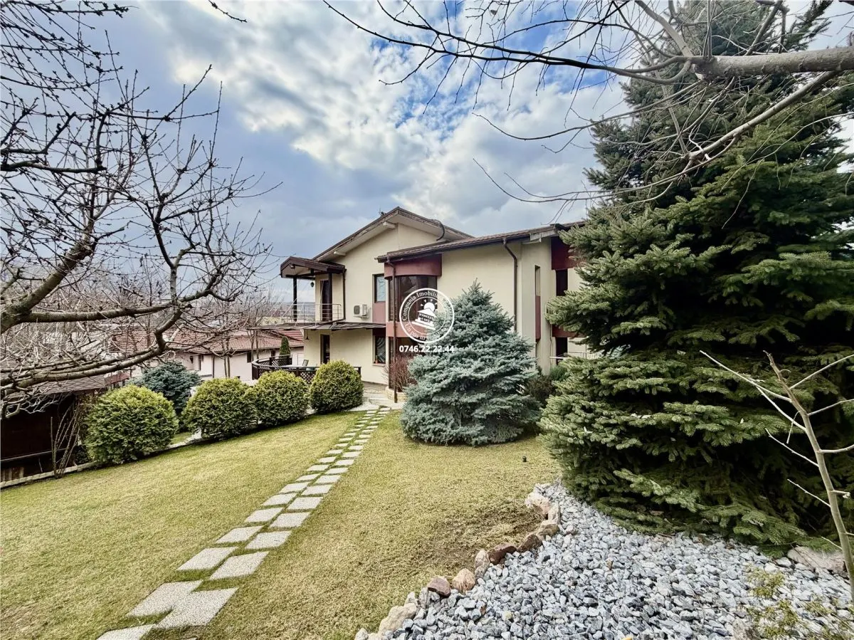 Casa vile de vânzare Buciuim-iasi - foto 6