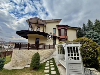 Casa vile de vânzare Buciuim-iasi - foto 7