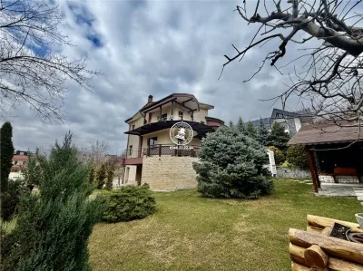 Casa vile de vânzare Buciuim-iasi - foto 9