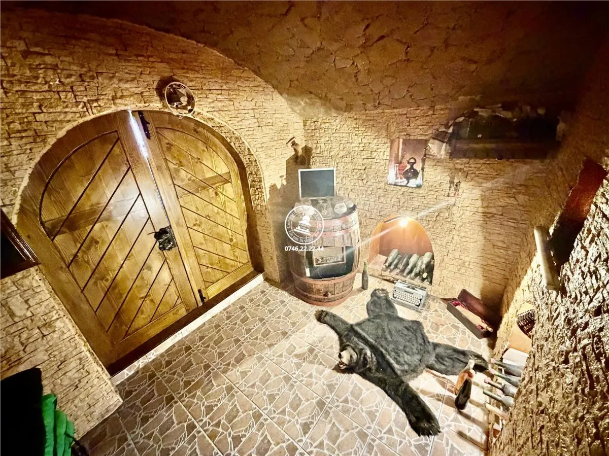 Casa vile de vânzare Buciuim-iasi - foto 10