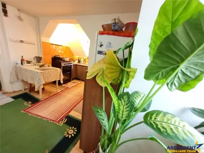 Imobil in zona ultracentrala, cu garaj propriu, anexa si view panoramic - foto 11