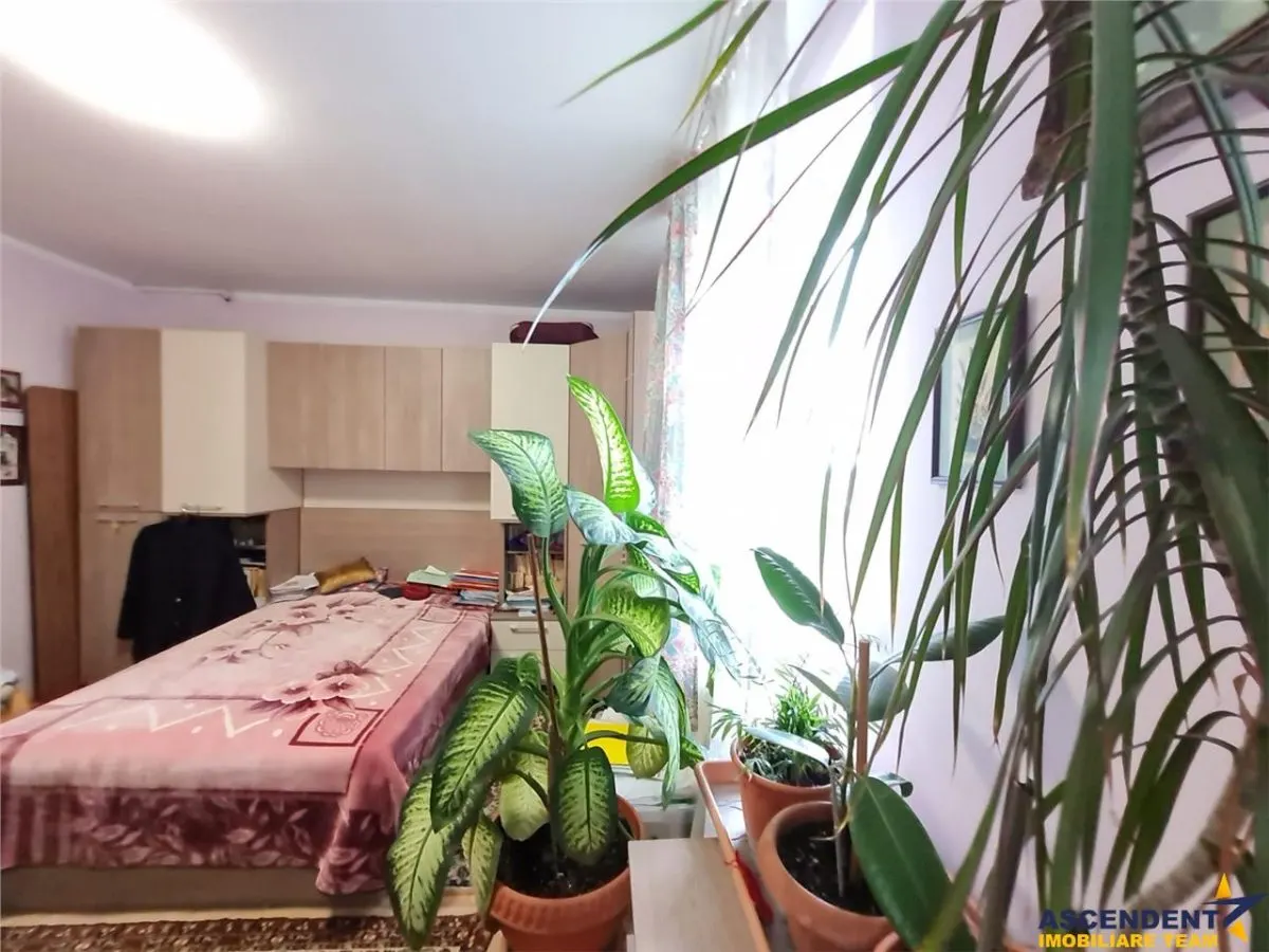Imobil in zona ultracentrala, cu garaj propriu, anexa si view panoramic - foto 12