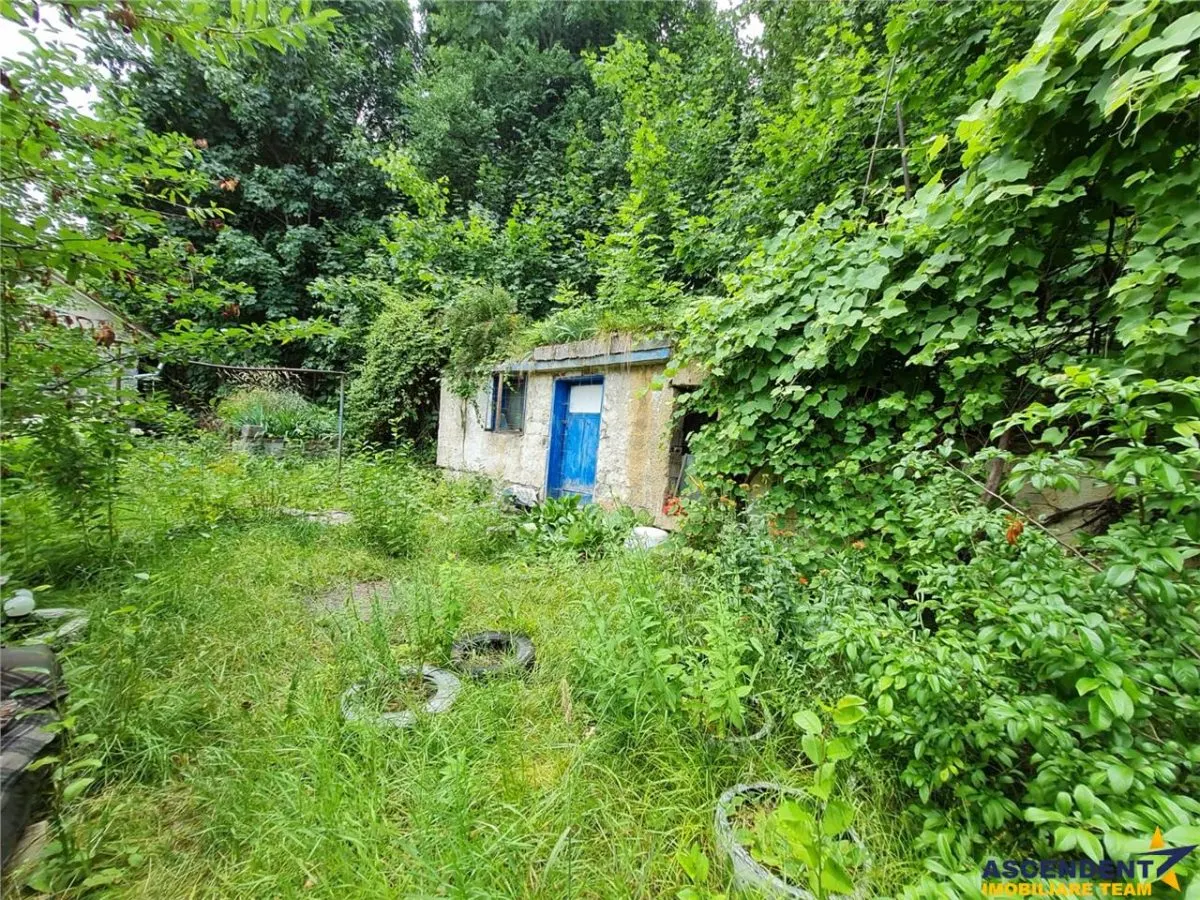 Imobil in zona ultracentrala, cu garaj propriu, anexa si view panoramic - foto 16