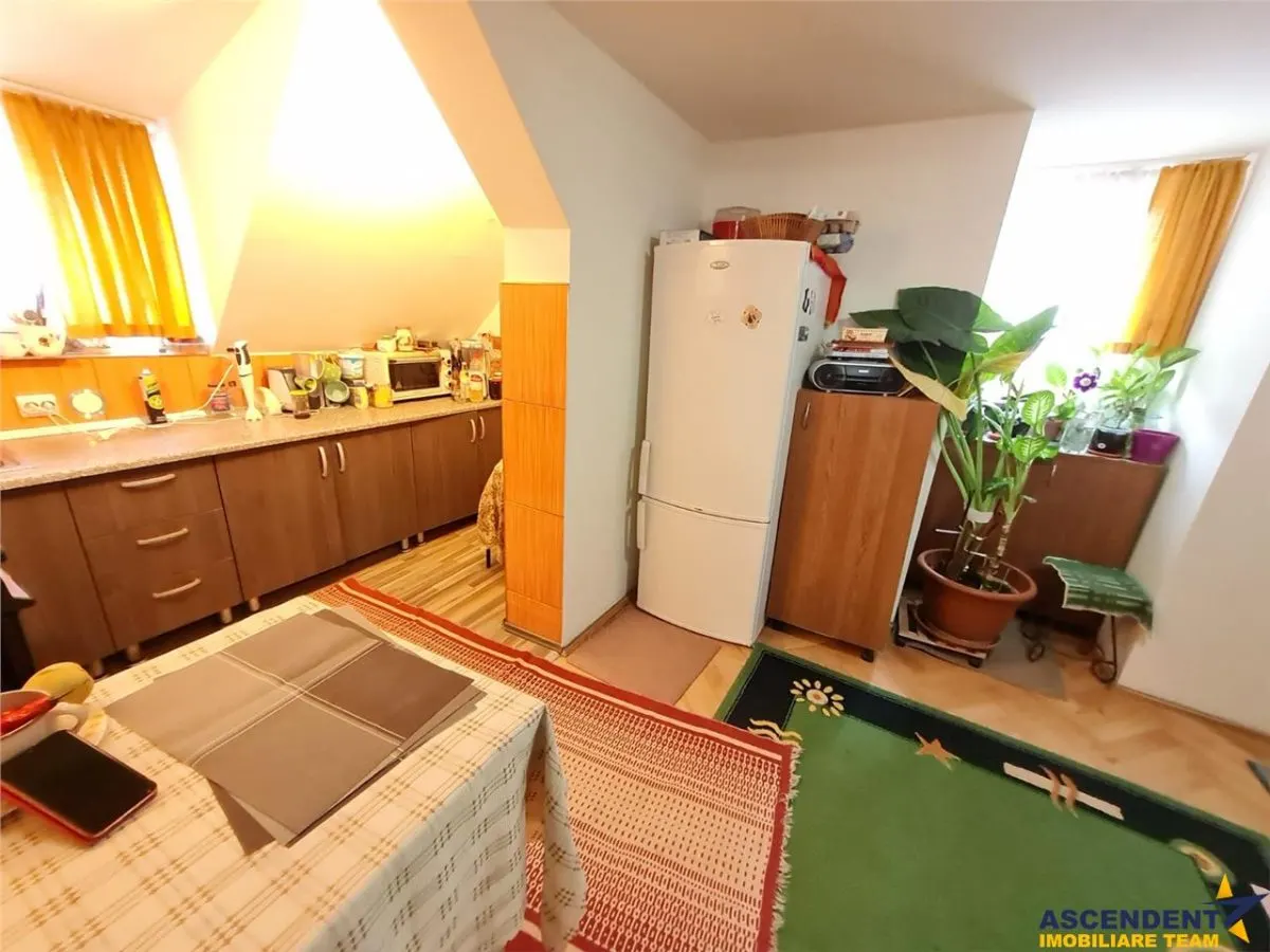 Imobil in zona ultracentrala, cu garaj propriu, anexa si view panoramic - foto 17