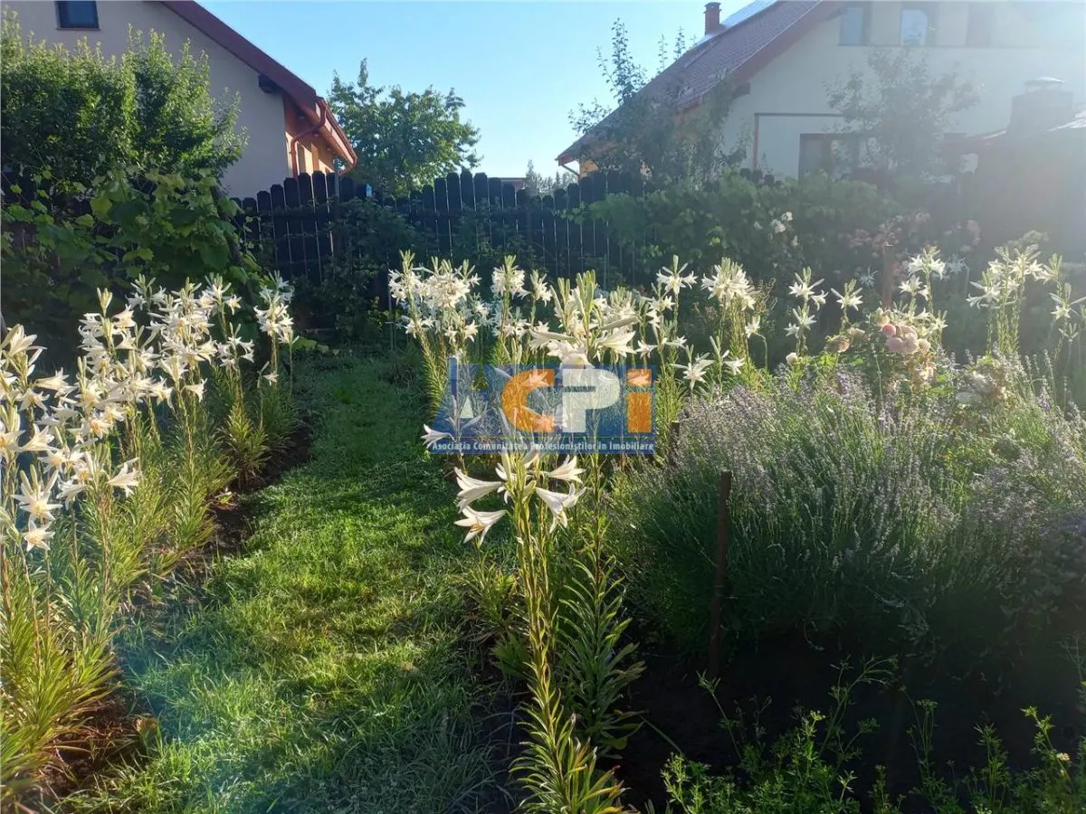 Bacau ,  Vila, la 5 minute de Centrul Orasului - foto 5