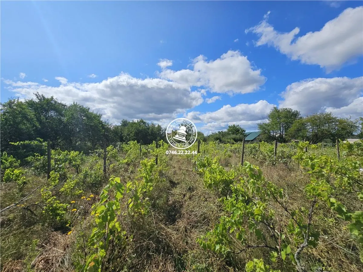 Teren intravilan 6650 mp ,42ml deschidere , toate utilitatile , asfalt - Aroneanu , Iasi - foto 1