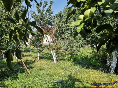 Vila+hala+teren, Bartolomeu, Brasov - foto 1