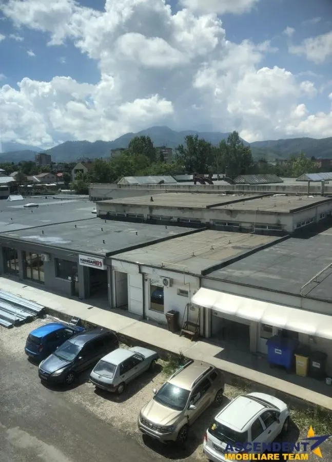 Spatiul este pretabil pentru activitati de logistica, depozitare, productie sau distributie. - foto 1