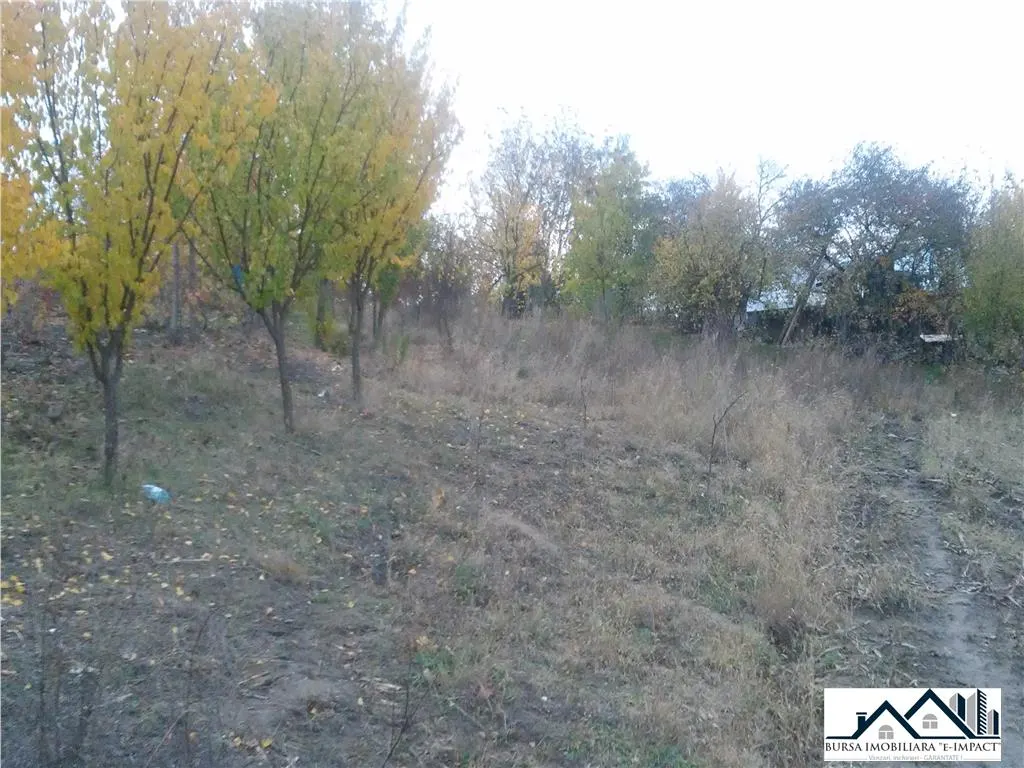 TEREN INTRAVILAN -de constructii, S=3600 mp, loc. Grivita, 21 000 Euro - foto 7