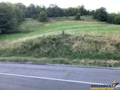 5.000 mp teren, front la strada principala, vedere panoramica, Moieciu, Brasov - foto 1