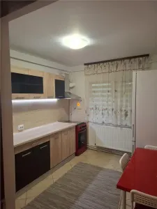 Apartament 2 camere zona Paltinis - foto 6