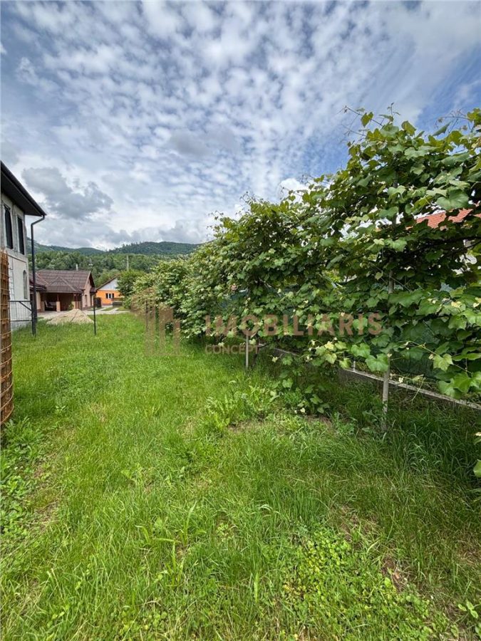 Proprietate cu 2 case in aceeasi curte si teren 24 ari - foto 16