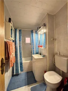 Proprietate cu 2 case in aceeasi curte si teren 24 ari - foto 6