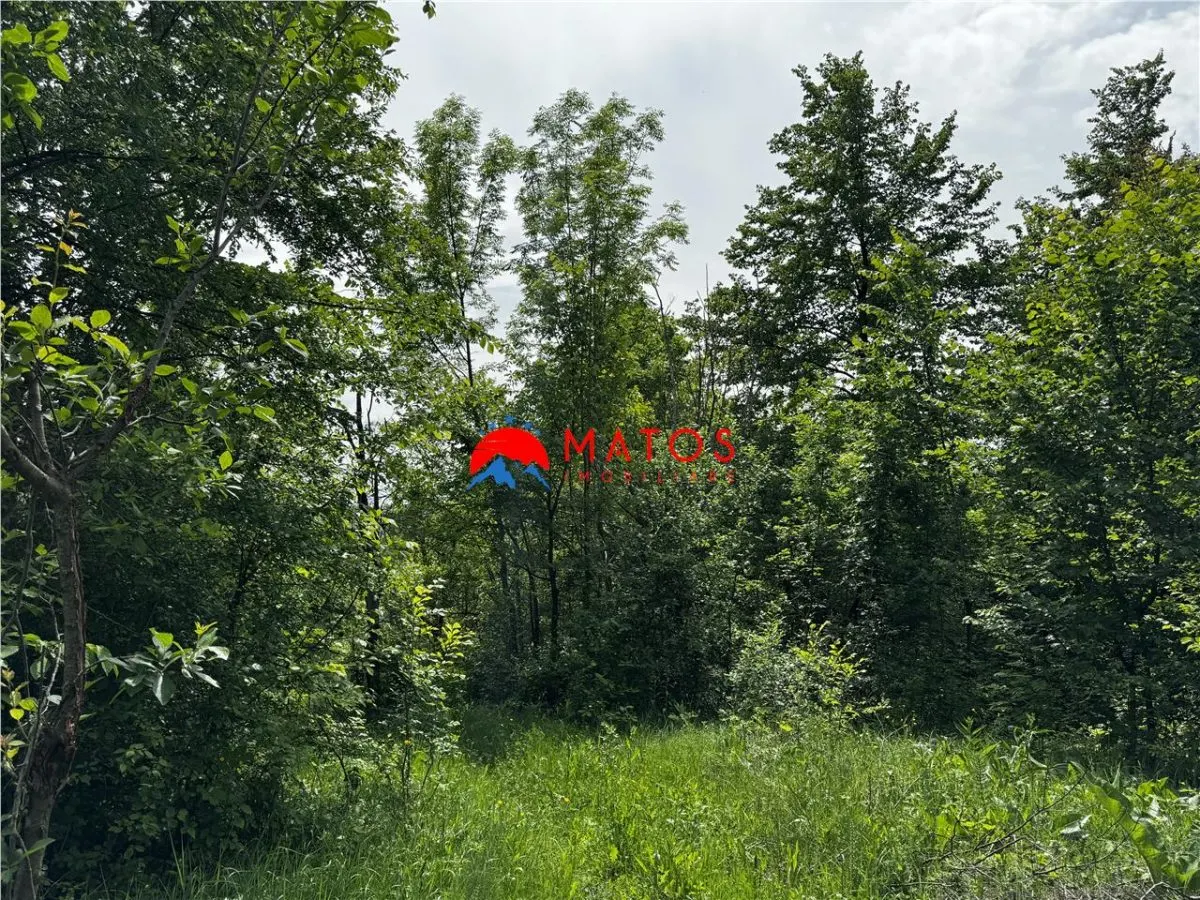 Teren intravilan 1.300 mp Ã®n Cornu de Jos, Prahova â€“ zona linistita, utilitati aproape, pret 35.000 â‚¬ - foto 6