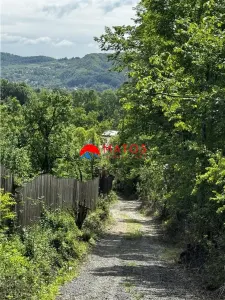 Teren intravilan 1.300 mp Ã®n Cornu de Jos, Prahova â€“ zona linistita, utilitati aproape, pret 35.000 â‚¬ - foto 7
