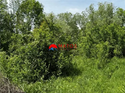 Teren intravilan 1.300 mp Ã®n Cornu de Jos, Prahova â€“ zona linistita, utilitati aproape, pret 35.000 â‚¬ - foto 8