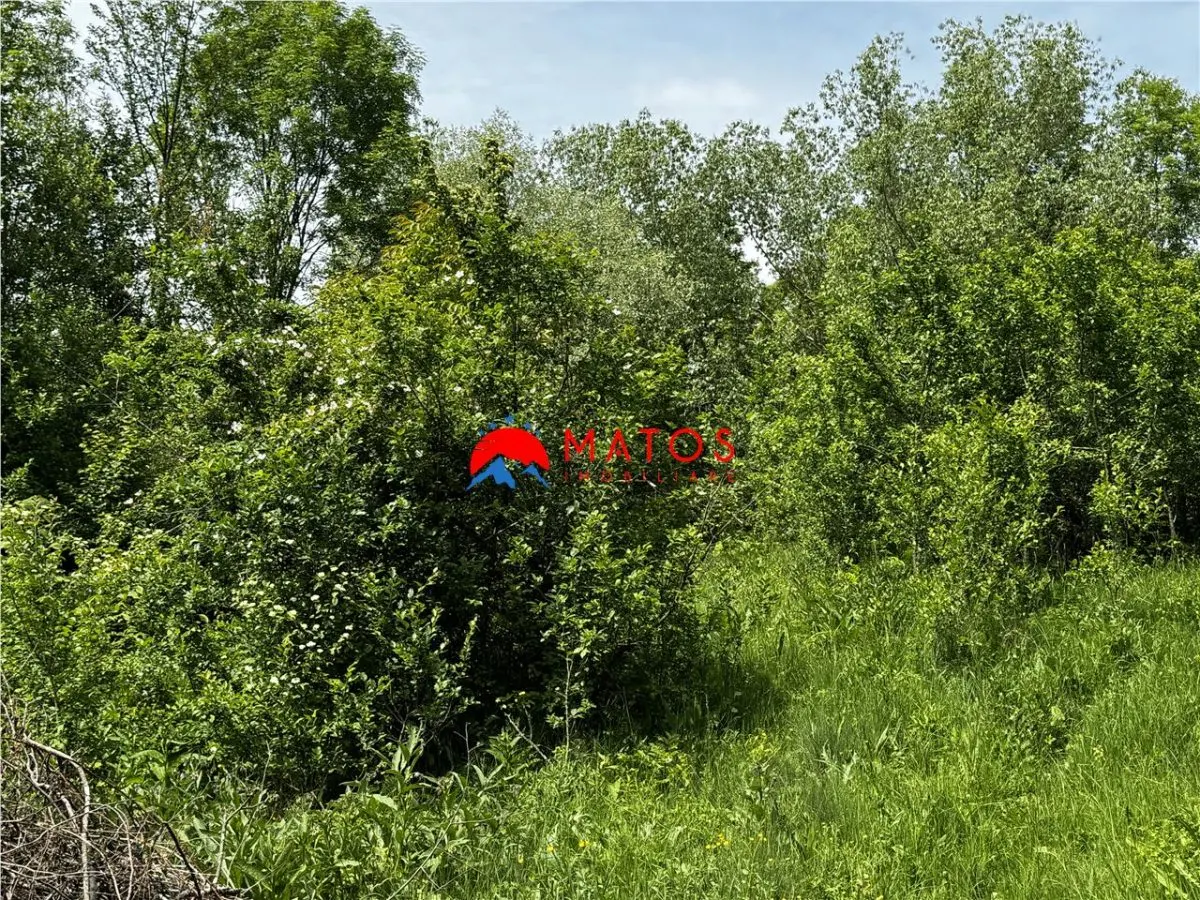 Teren intravilan 1.300 mp Ã®n Cornu de Jos, Prahova â€“ zona linistita, utilitati aproape, pret 35.000 â‚¬ - foto 8