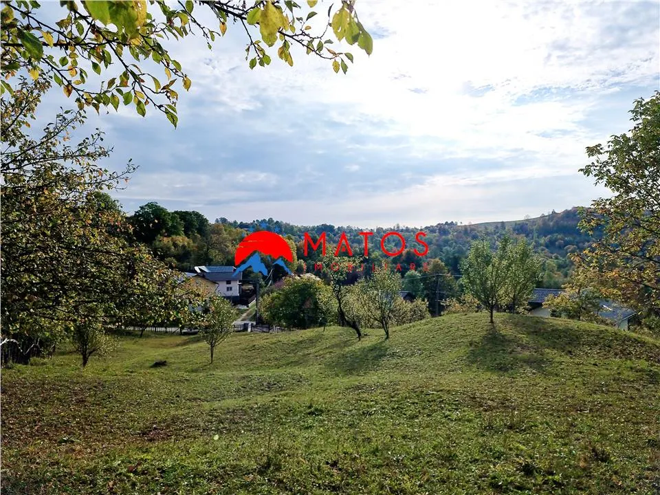 Teren intravilan 2918 mp de vânzare Talea, Prahova | 0% comision - foto 3