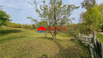 Teren intravilan 2918 mp de vânzare Talea, Prahova | 0% comision - foto 10