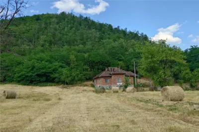 Teren, padure si casa in Dumbrava de Jos, jud. Hunedoara - foto 2
