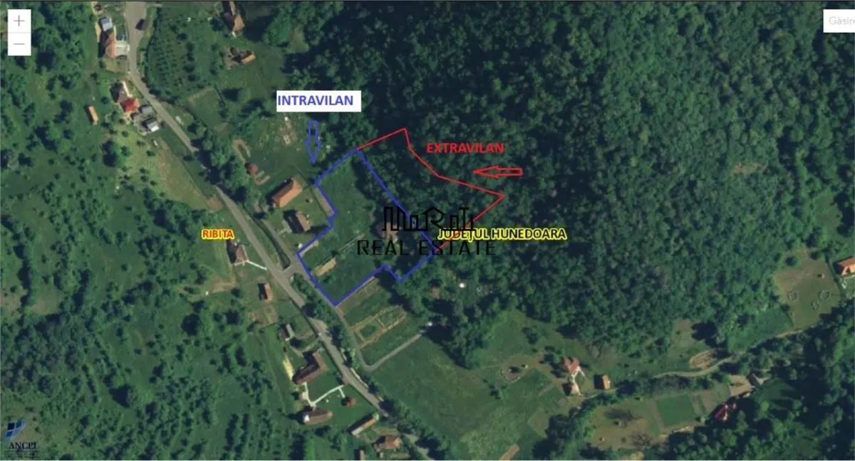 Teren, padure si casa in Dumbrava de Jos, jud. Hunedoara - foto 11