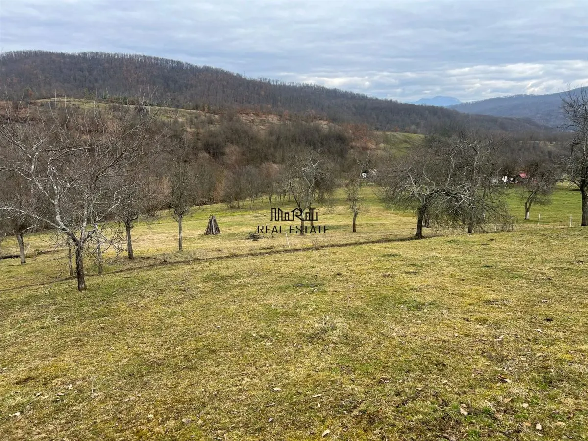 Teren intravilan si extravilan Luncoiu de Jos - foto 2